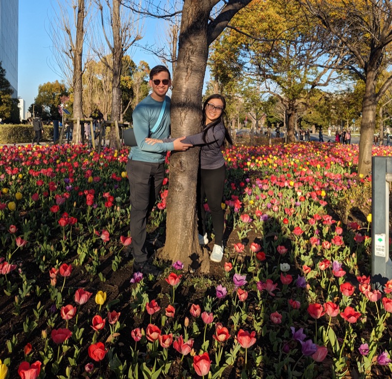 japan-tulips